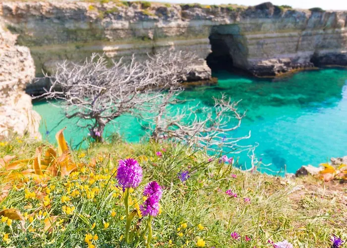 Clio In Salento Daire *