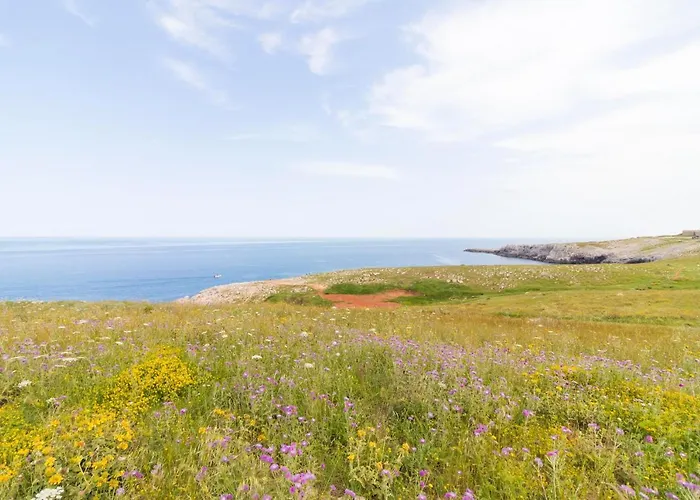 Clio In Salento *